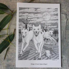 Australian Animal Greeting Cards