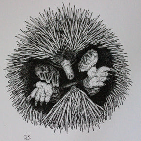 Australian Animal Greeting Cards