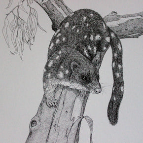 Australian Animal Greeting Cards