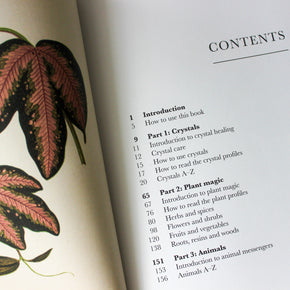 Practical Guide to Magic in Nature