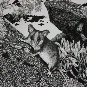 Australian Animal Greeting Cards - Tribe Castlemaine