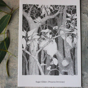 Australian Animal Greeting Cards - Tribe Castlemaine