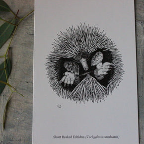 Australian Animal Greeting Cards - Tribe Castlemaine