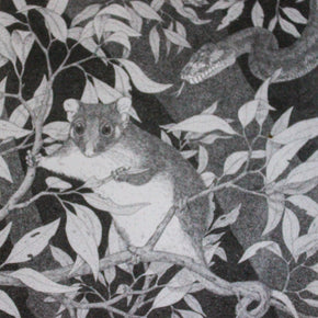 Australian Animal Greeting Cards - Tribe Castlemaine