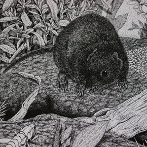 Australian Animal Greeting Cards - Tribe Castlemaine