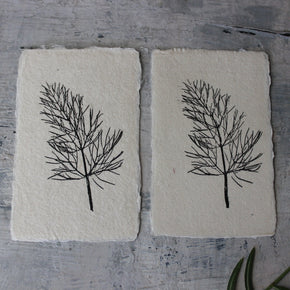 Botanical Monoprint Miniatures - Tribe Castlemaine