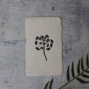 Botanical Monoprint Miniatures - Tribe Castlemaine