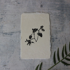 Botanical Monoprint Miniatures - Tribe Castlemaine