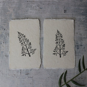 Botanical Monoprint Miniatures - Tribe Castlemaine