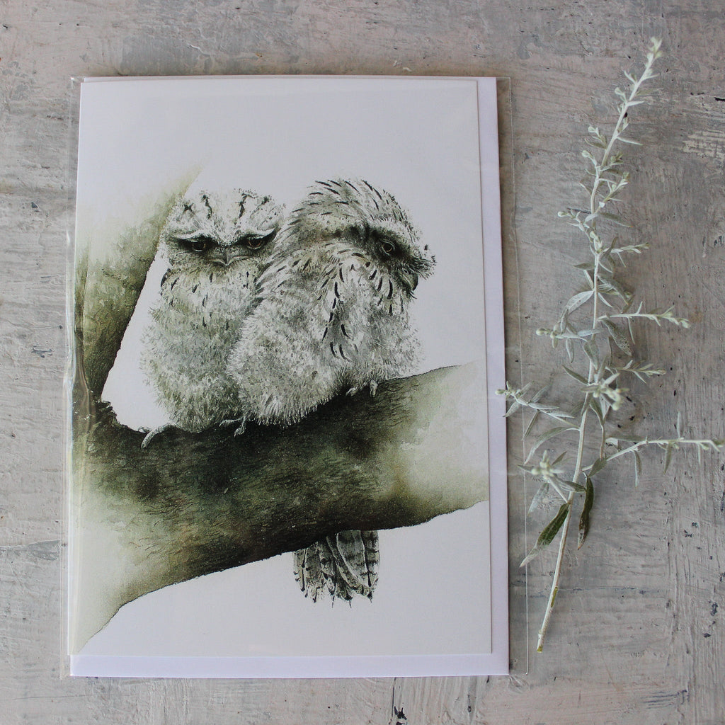 Matteo Grilli Card 'Tawny Frogmouth Chicks' - Tribe Castlemaine