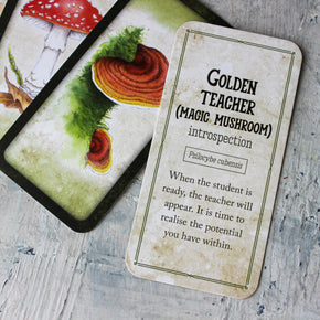 Mushroom Affirmation Cards - Tribe Castlemaine