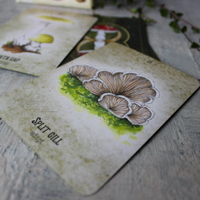 Mushroom Spirit Oracle - Tribe Castlemaine