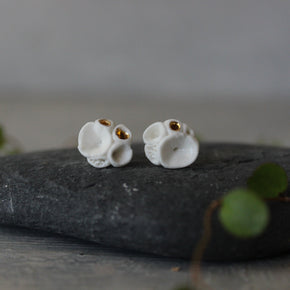 Porcelain Coral Studs White Gold - Tribe Castlemaine