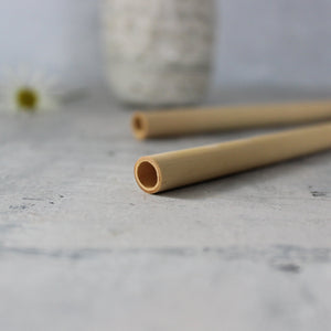 Bamboo Straws - Tribe Castlemaine