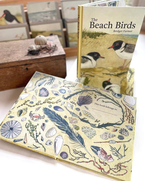 Beach Birds Children's Book - Tribe Castlemaine