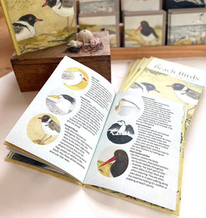Beach Birds Children's Book - Tribe Castlemaine
