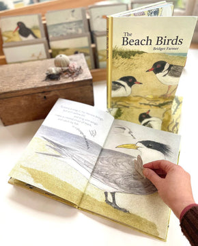 Beach Birds Children's Book - Tribe Castlemaine