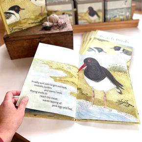 Beach Birds Children's Book - Tribe Castlemaine