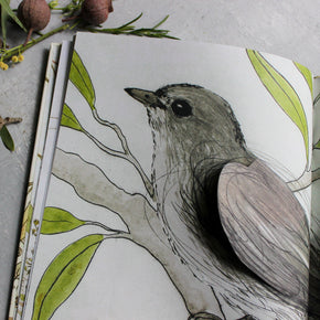 Bush Birds Children's Book - Tribe Castlemaine