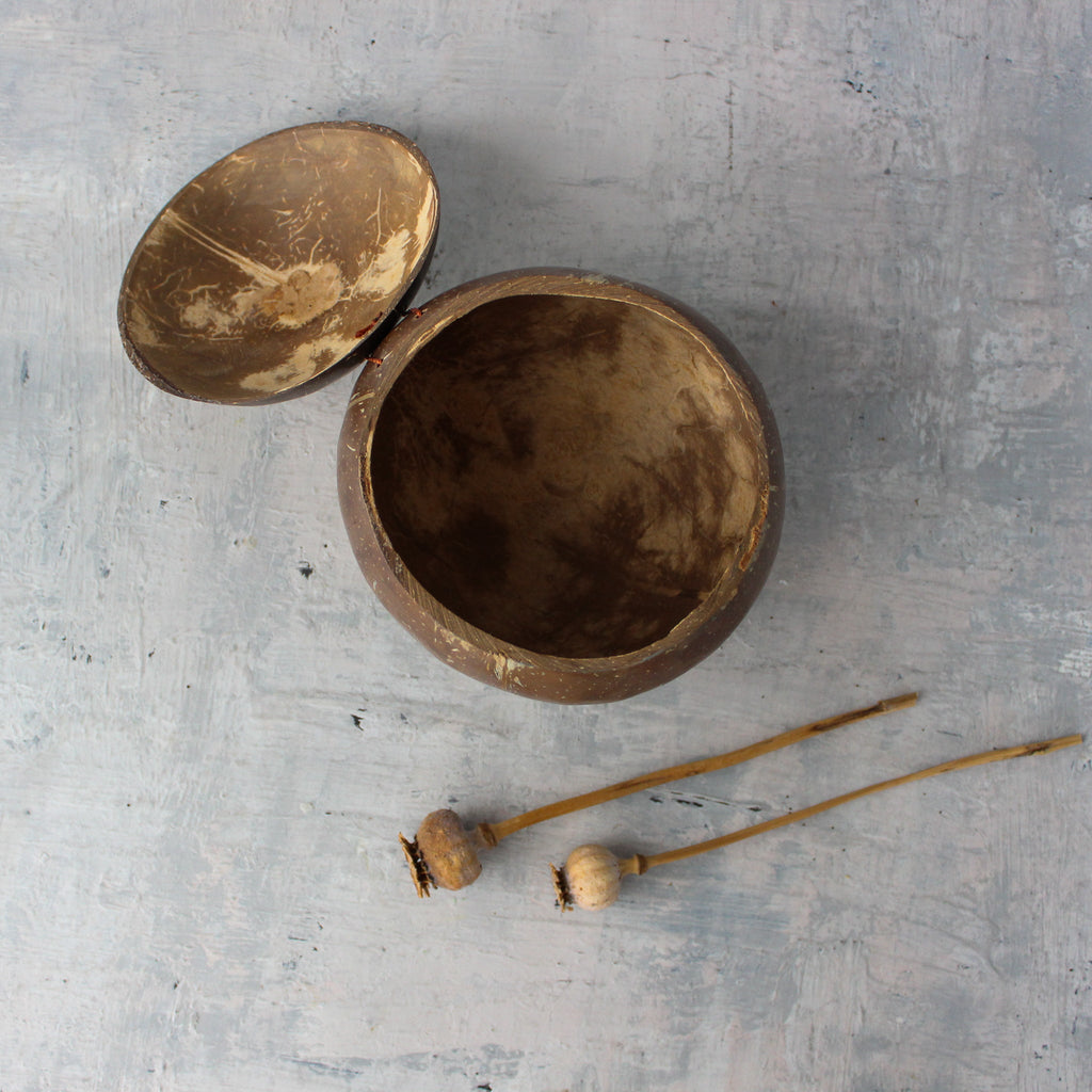 Coconut Lidded Bowl - Tribe Castlemaine