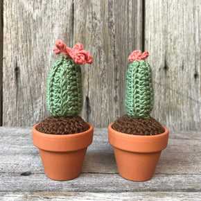 Crochet Cactus - Tribe Castlemaine
