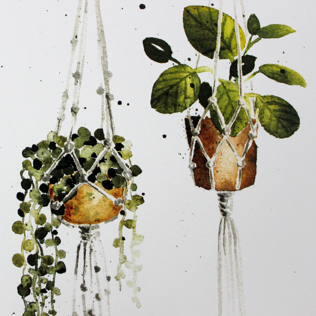 Inga Buividavice Card Hanging Pot Plants - Tribe Castlemaine
