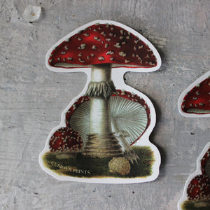 Magic Mushroom Sticker - Tribe Castlemaine