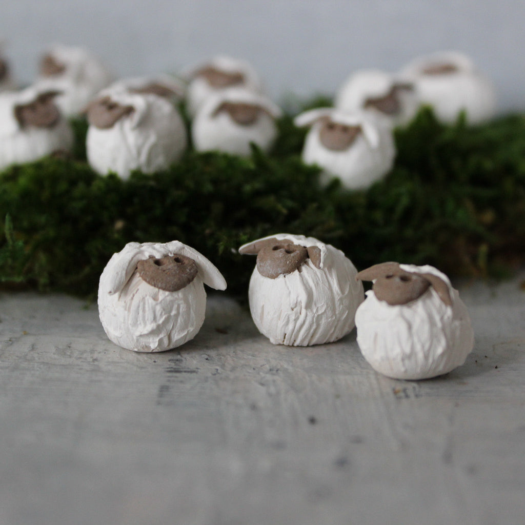 Miniature Sheep - Tribe Castlemaine