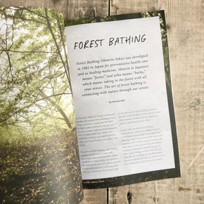 Plant Forage Make Magazine - Tribe Castlemaine