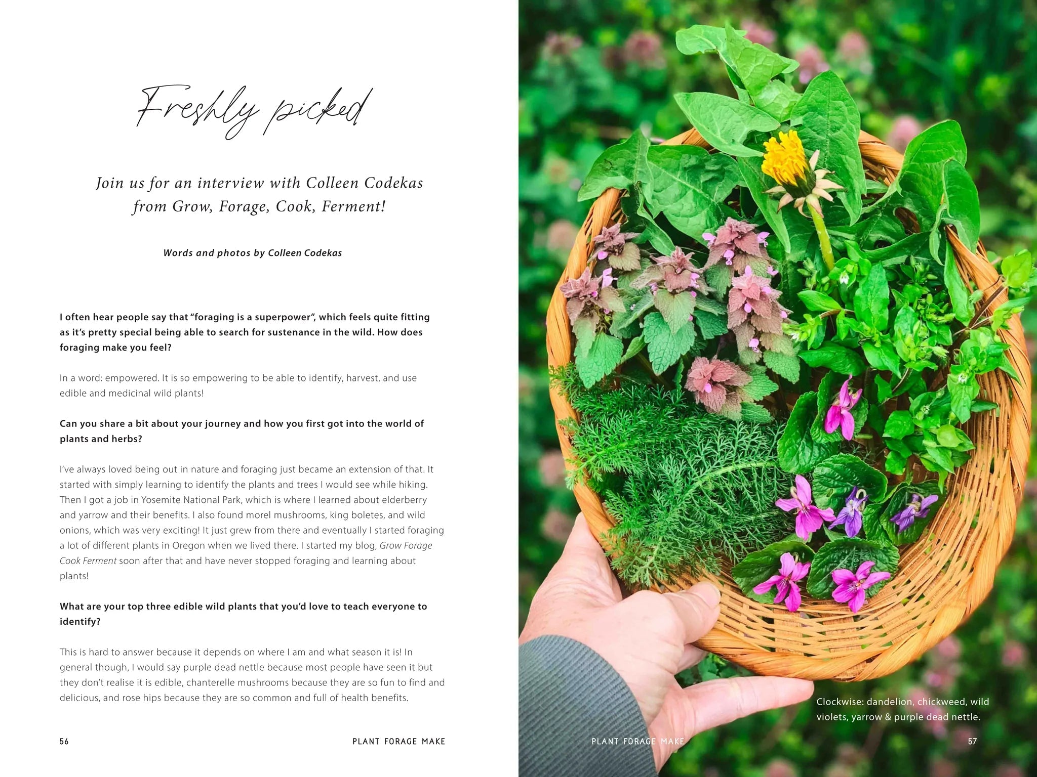 Plant Forage Make Magazine Vol 2 - Tribe Castlemaine