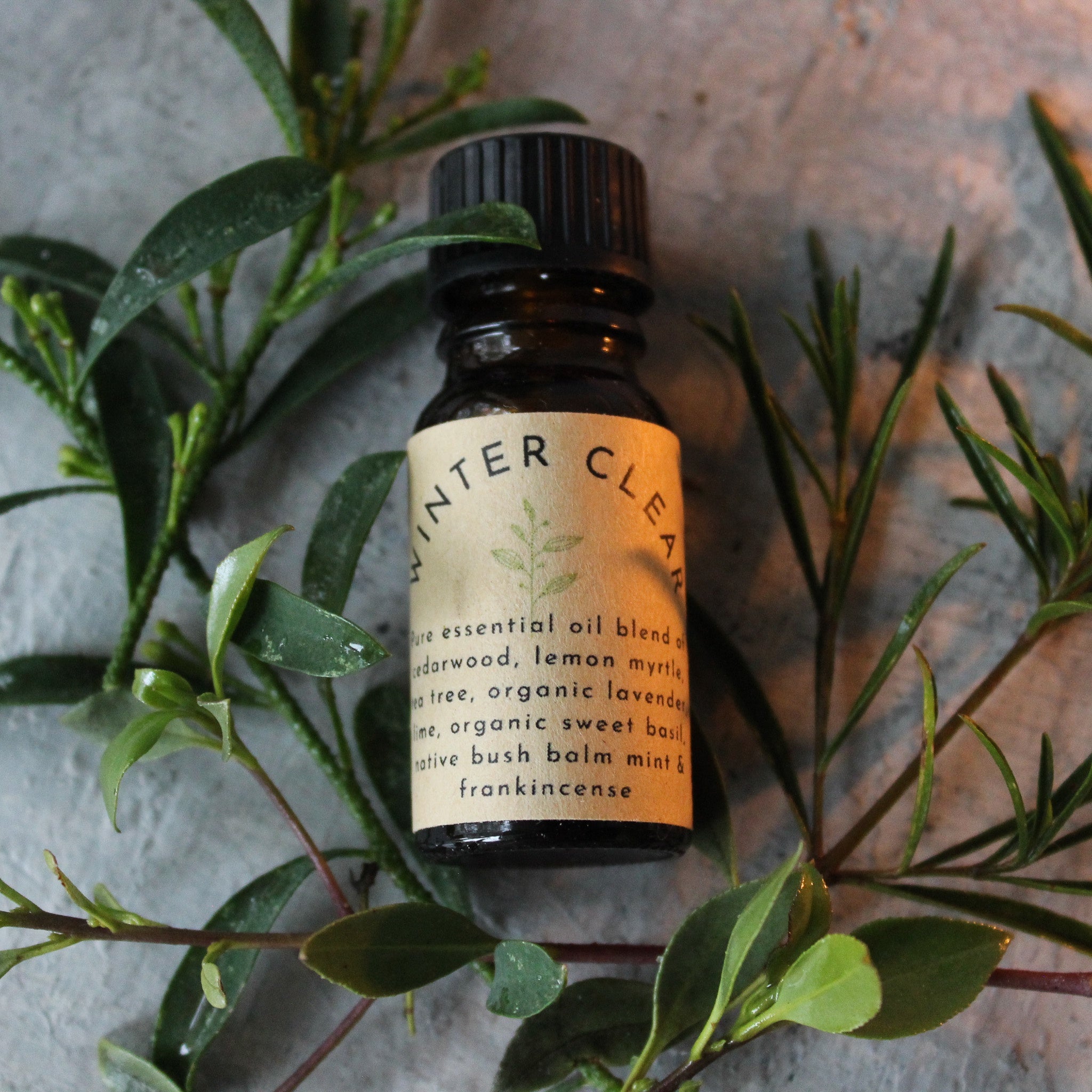 Winter Clear Essential Oil Blend - Tribe Castlemaine