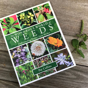 Wondrous World of Weeds Book by Pat Collins - Tribe Castlemaine