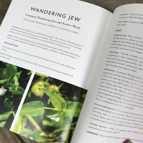 Wondrous World of Weeds Book by Pat Collins - Tribe Castlemaine