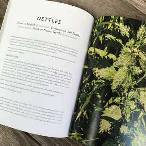 Wondrous World of Weeds Book by Pat Collins - Tribe Castlemaine