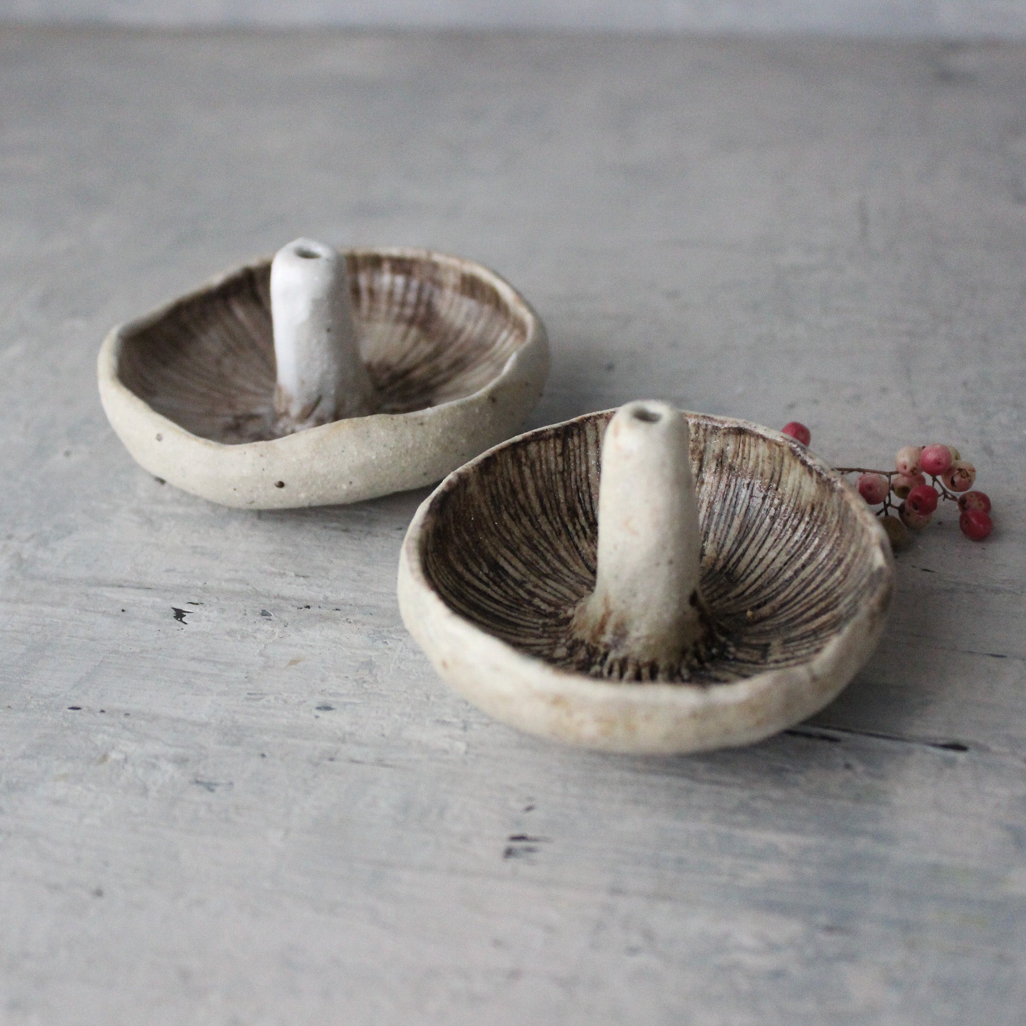 Ceramic Mushroom Specimen Keeper / Incense Holder Dishes