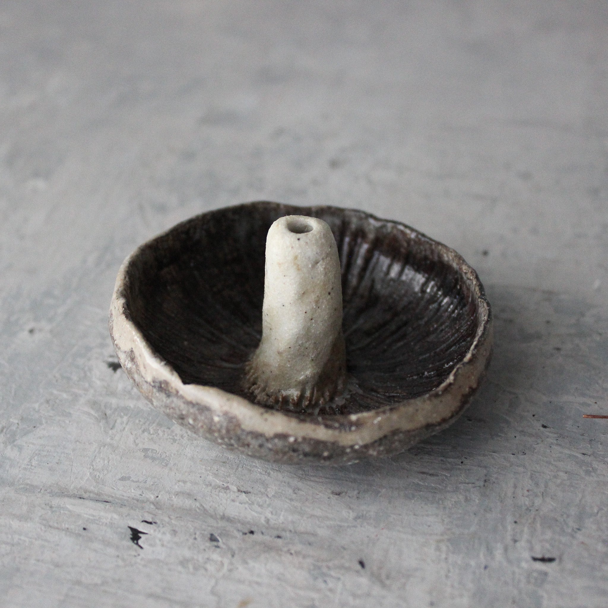 Ceramic Mushroom Specimen Keeper / Incense Holder Dishes