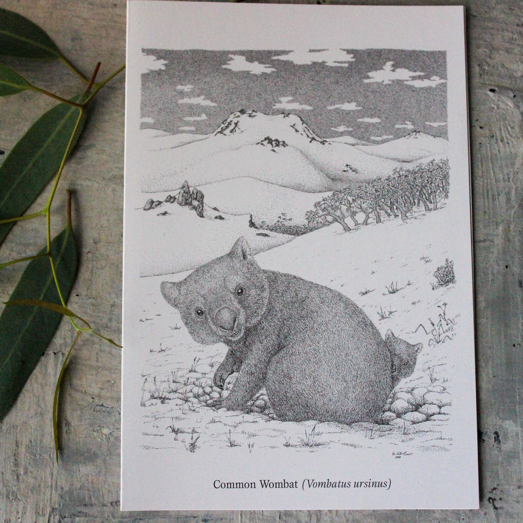 Australian Animal Greeting Cards