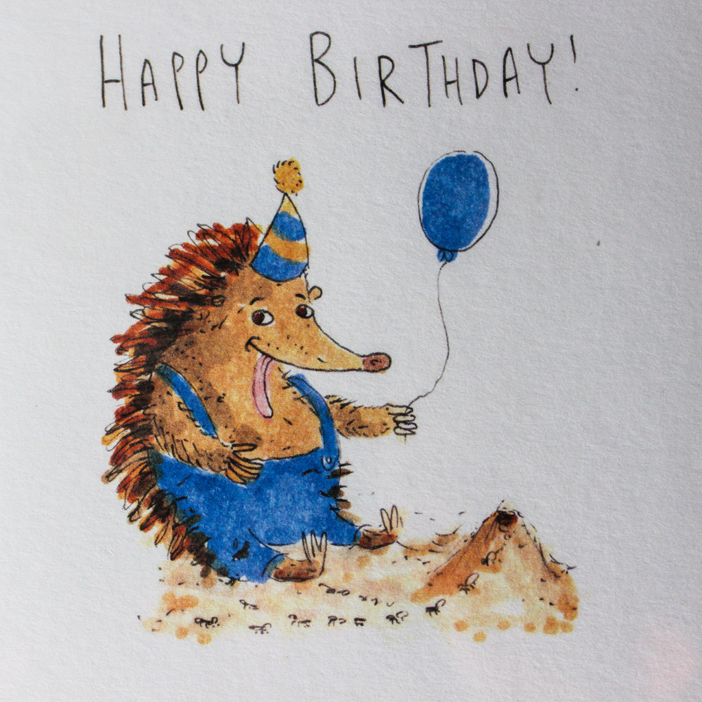 Well Drawn Echidna Birthday Card