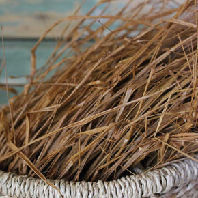 Raffia : Local Hand-Dyed