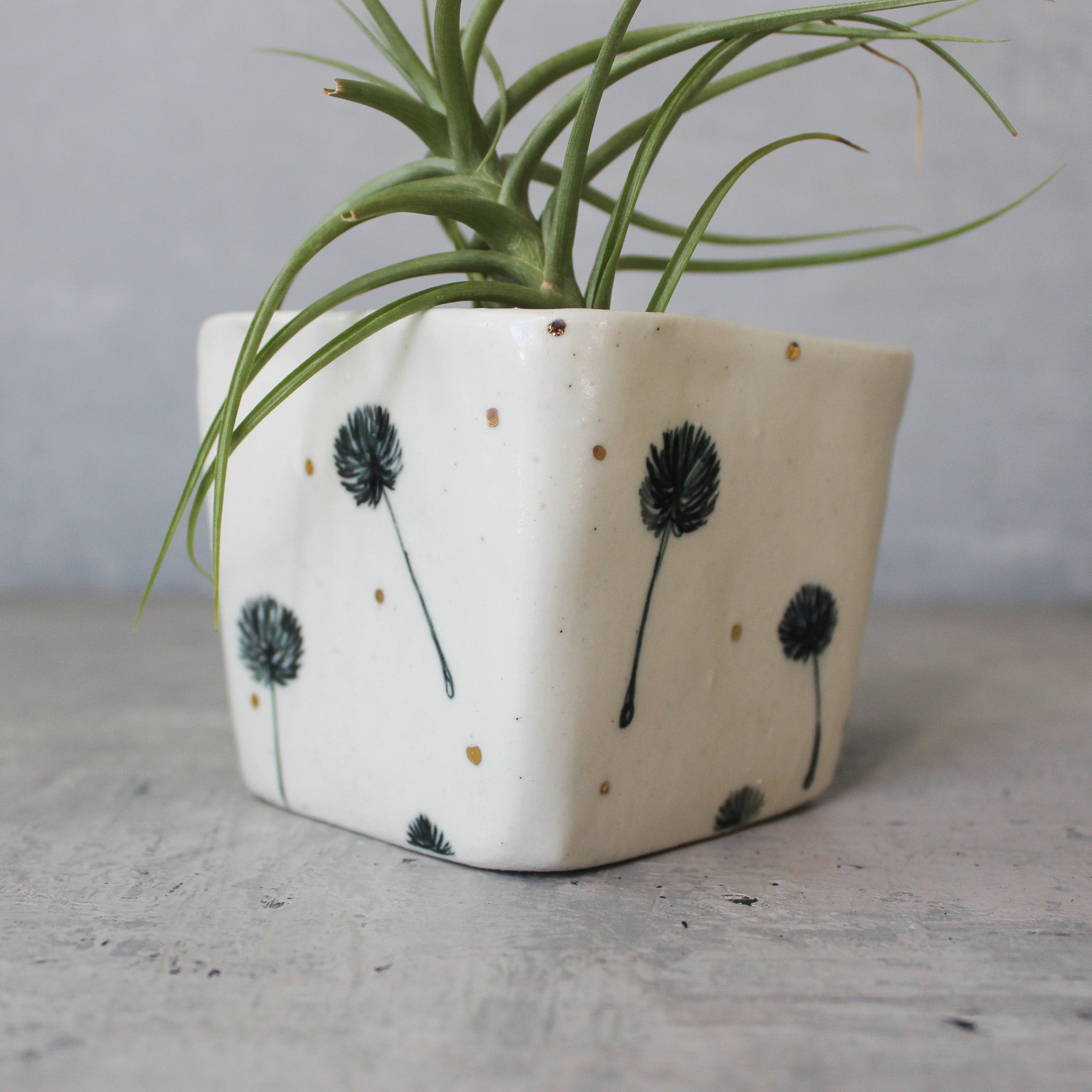 Dandelion Square Planters