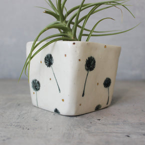 Dandelion Square Planters