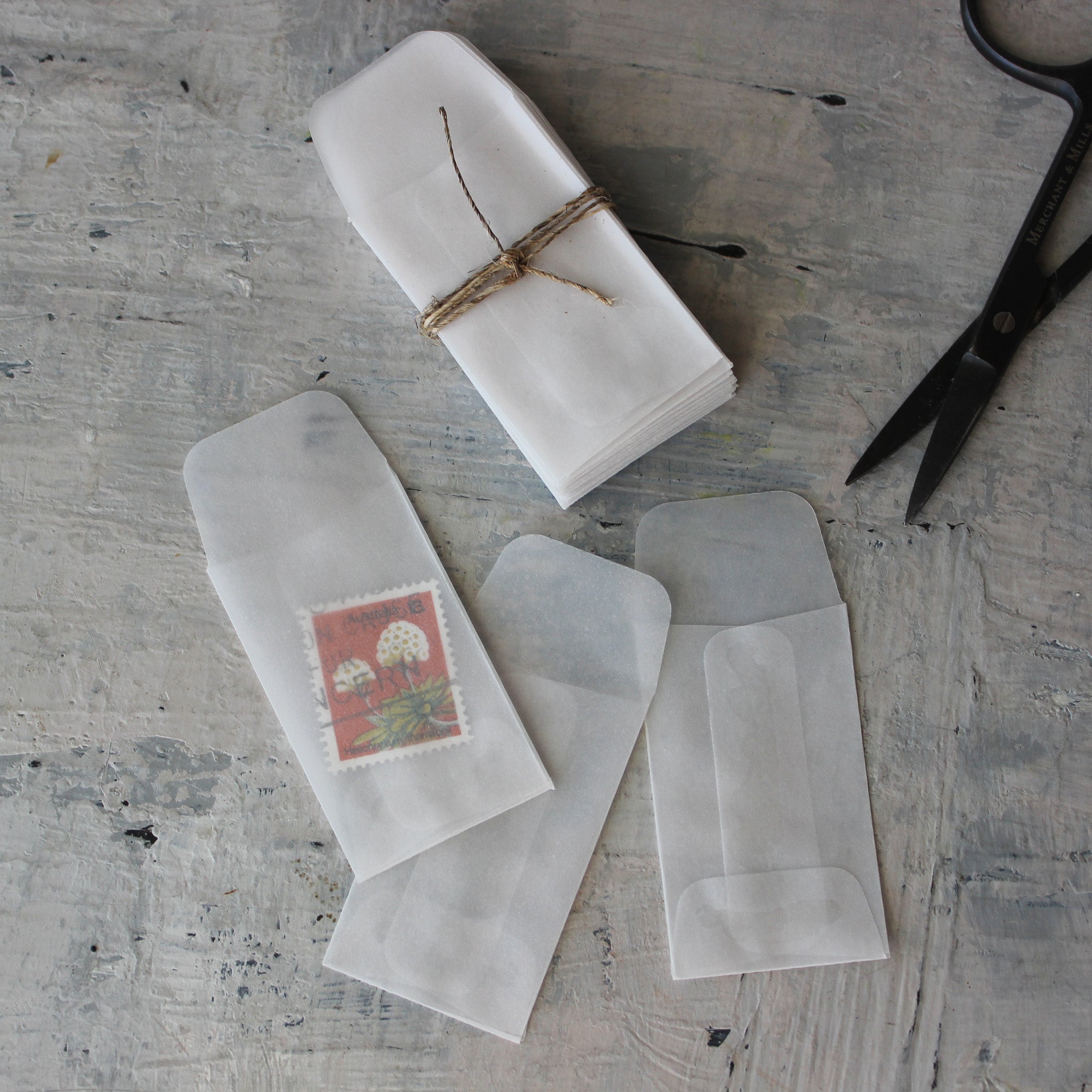 Mini Vellum Envelopes