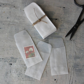 Mini Vellum Envelopes