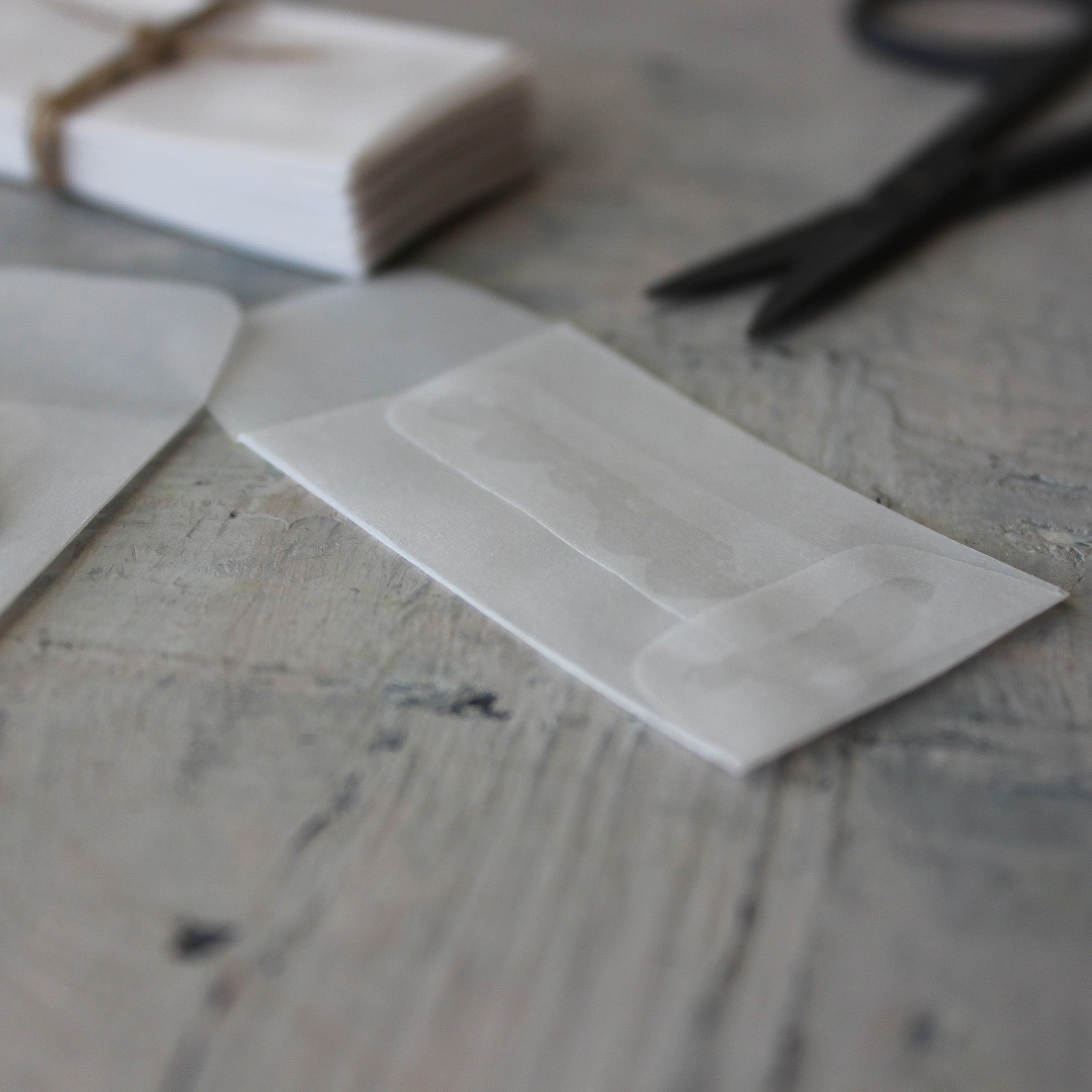 Mini Vellum Envelopes