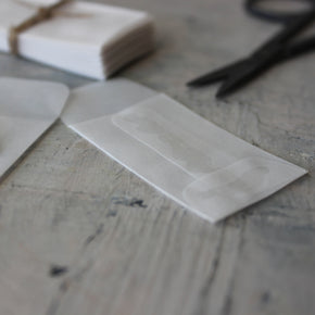 Mini Vellum Envelopes