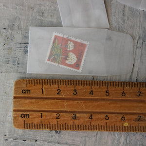 Mini Vellum Envelopes