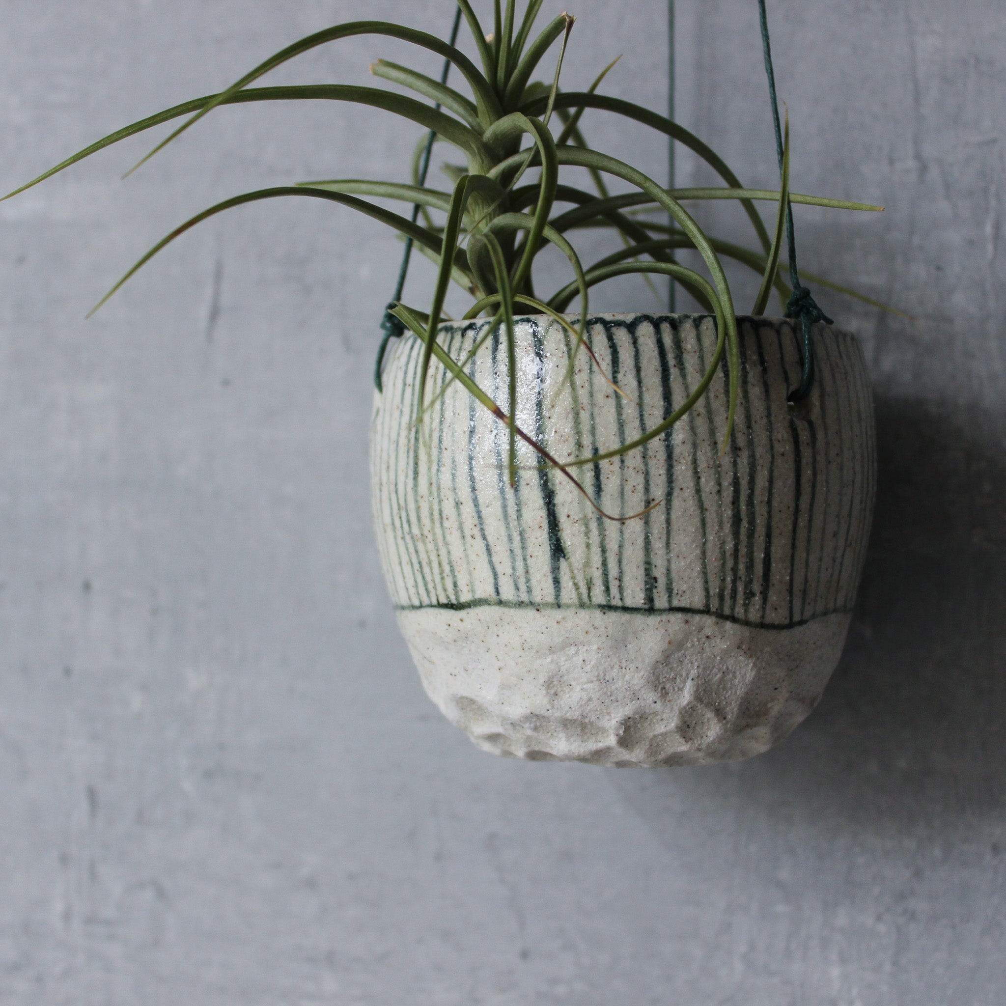 Hanging Ceramic Planters Blue Daisy