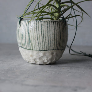 Hanging Ceramic Planters Blue Daisy