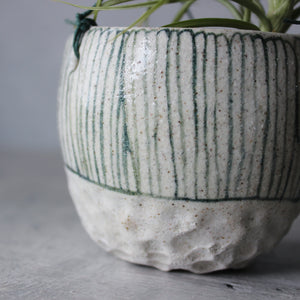 Hanging Ceramic Planters Blue Daisy