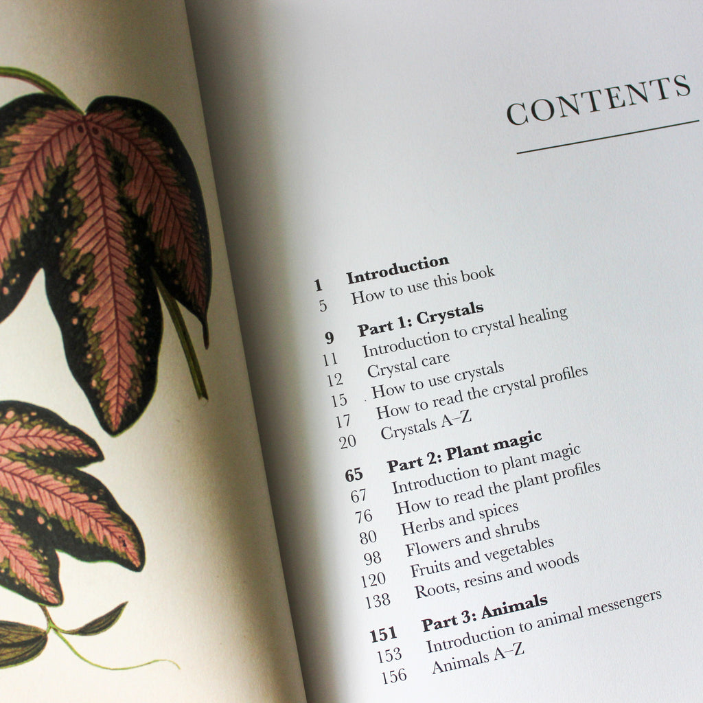 Practical Guide to Magic in Nature